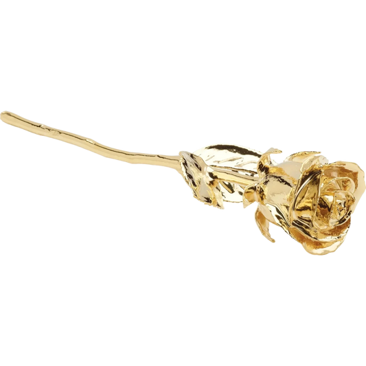 24K Gold-Plated Rose