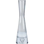 Glass Vase